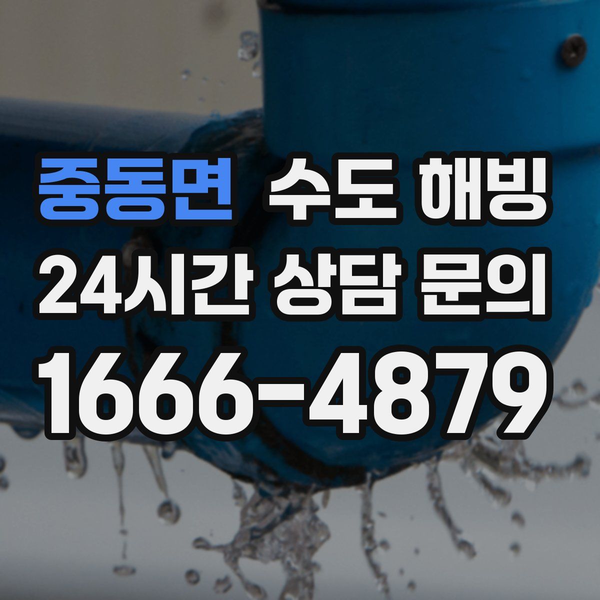 중동면 수도 해빙