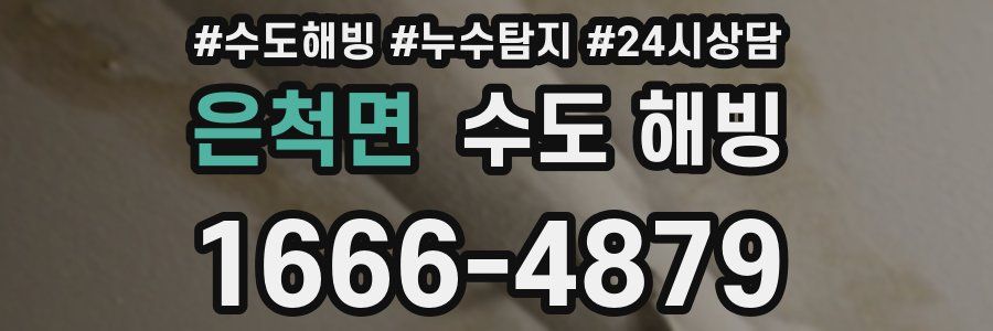 은척면 수도 해빙