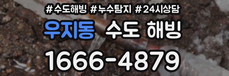 우지동 수도 해빙