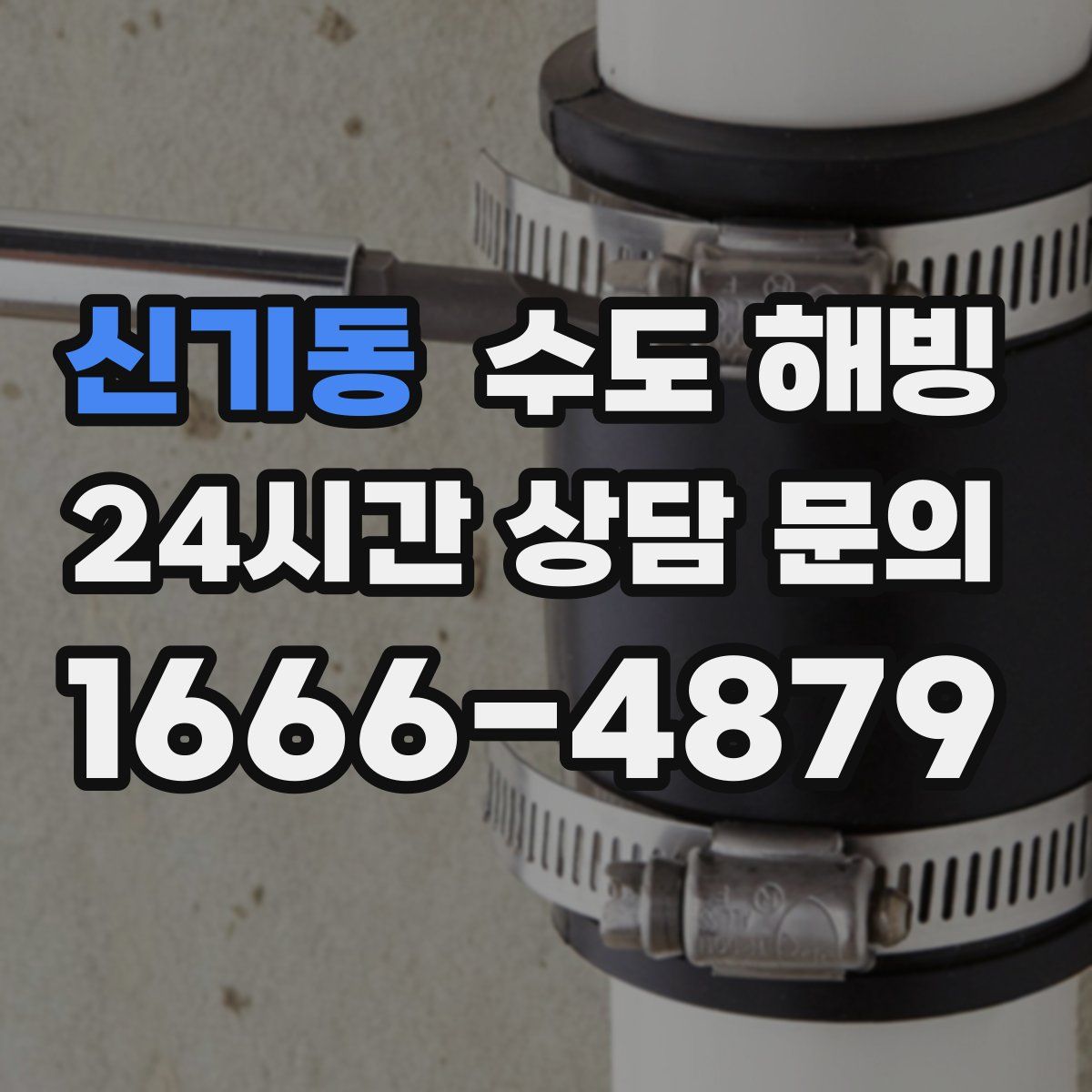 신기동 수도 해빙