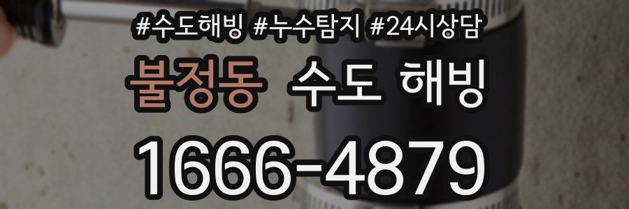 불정동 수도 해빙