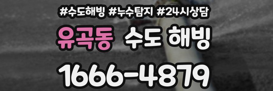 유곡동 수도 해빙