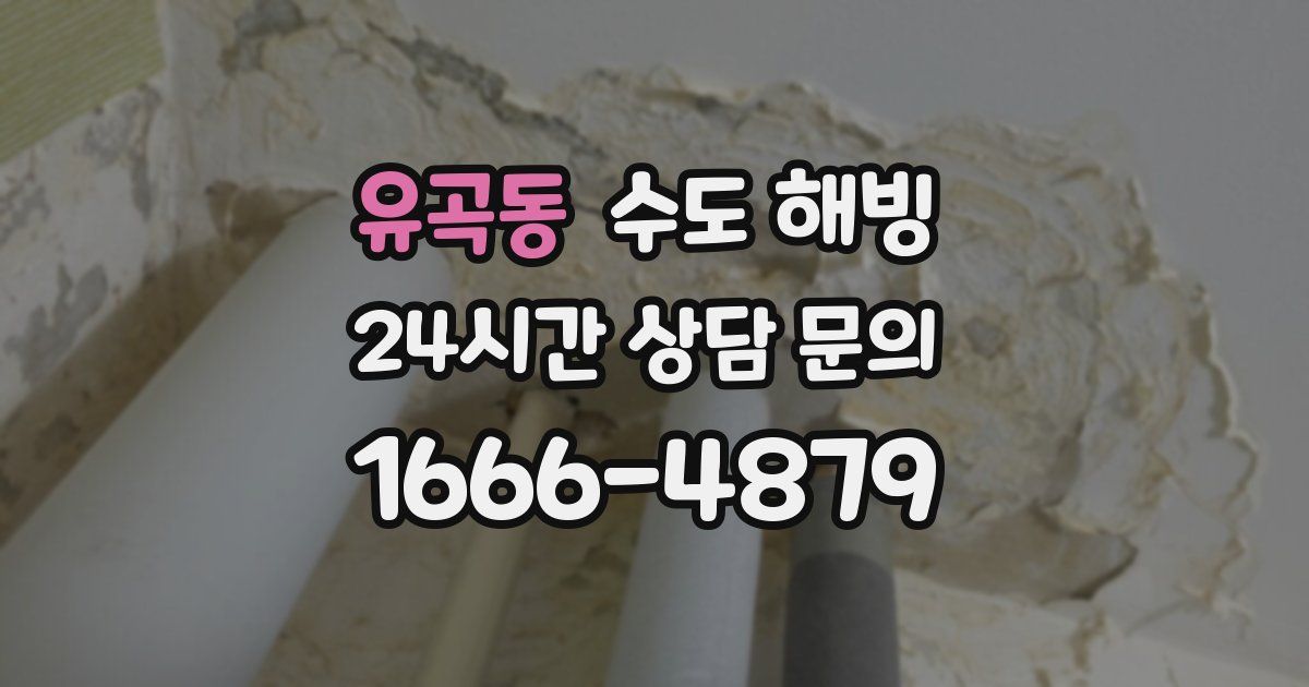 유곡동 수도 해빙