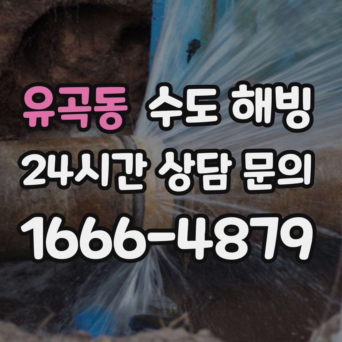 유곡동 수도 해빙