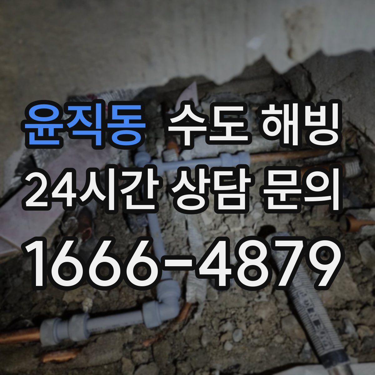 윤직동 수도 해빙