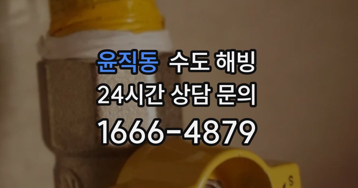 윤직동 수도 해빙