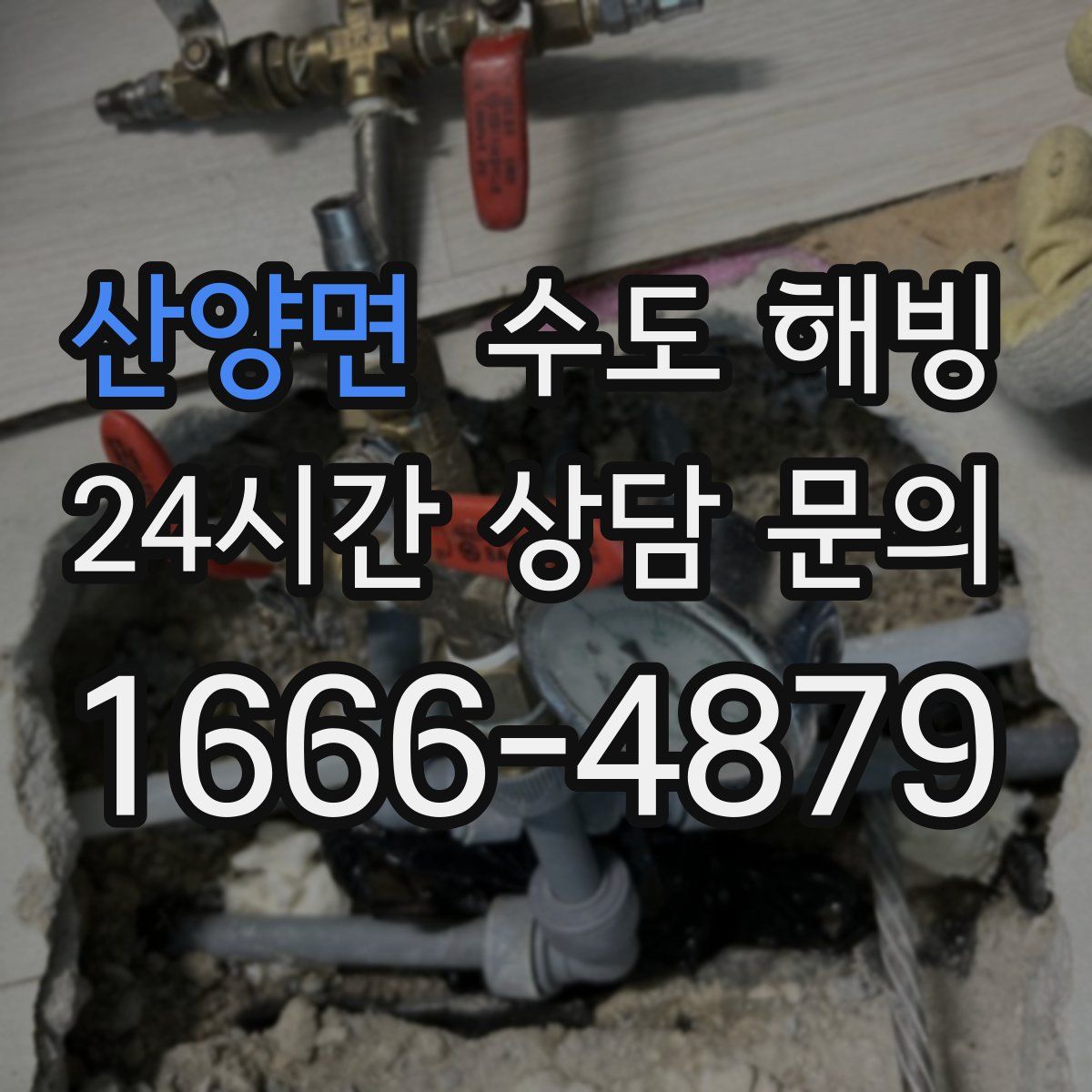 산양면 수도 해빙