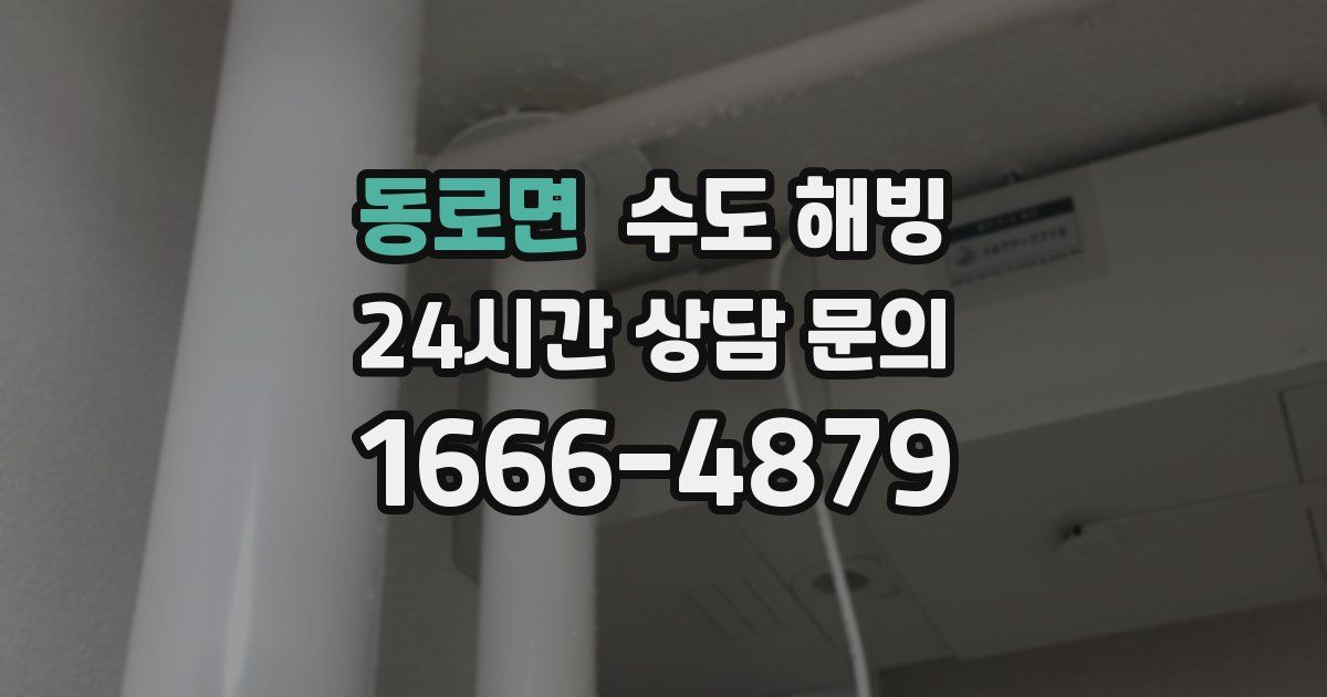 동로면 수도 해빙