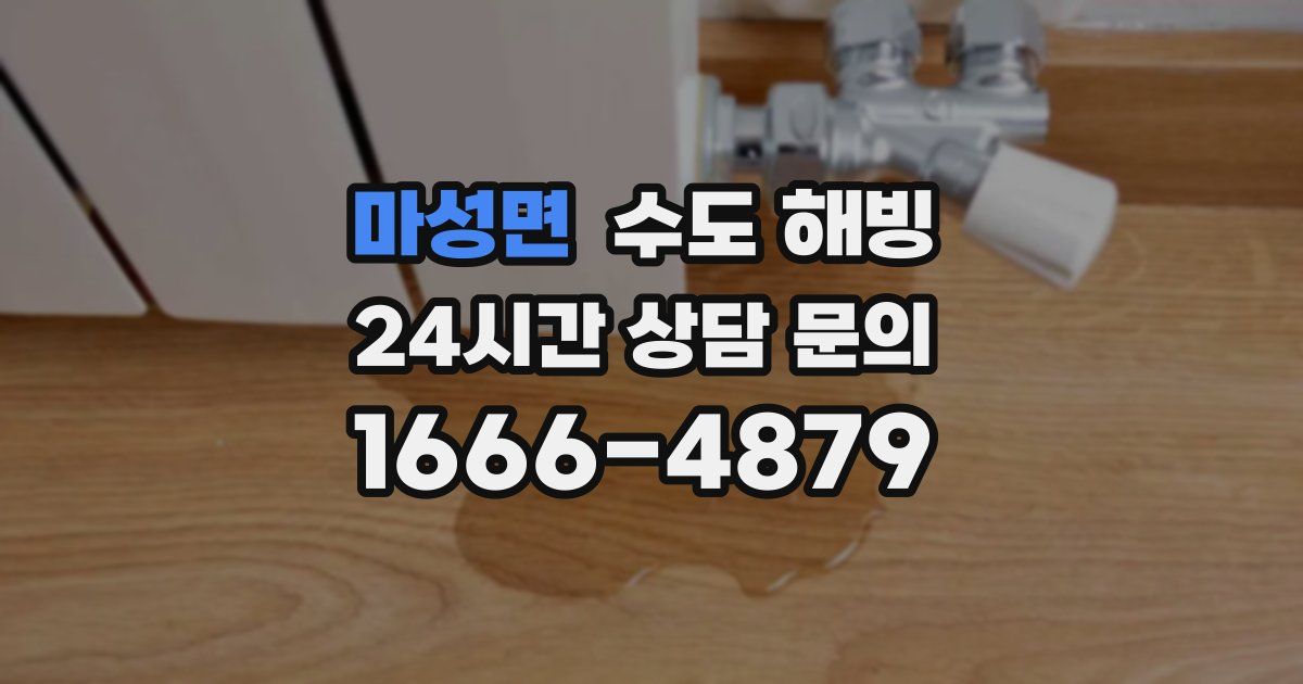 마성면 수도 해빙