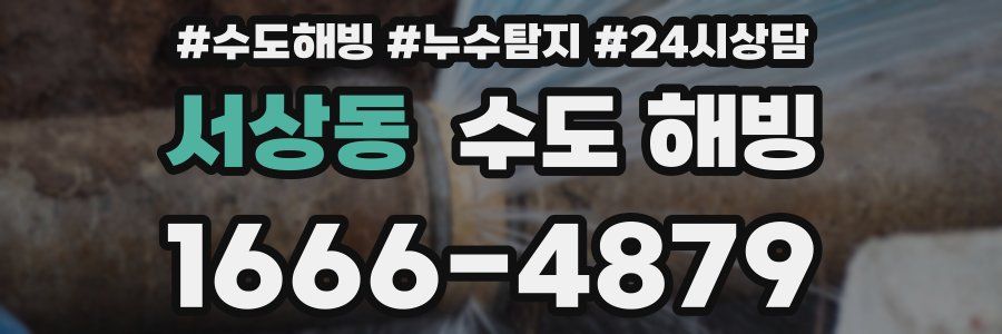 서상동 수도 해빙