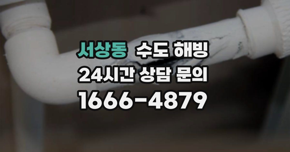 서상동 수도 해빙