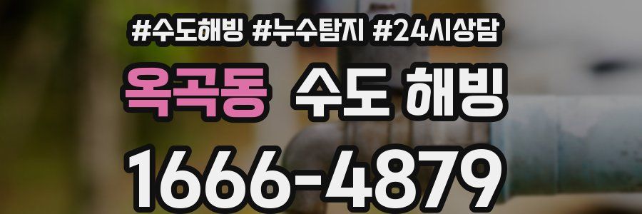 옥곡동 수도 해빙
