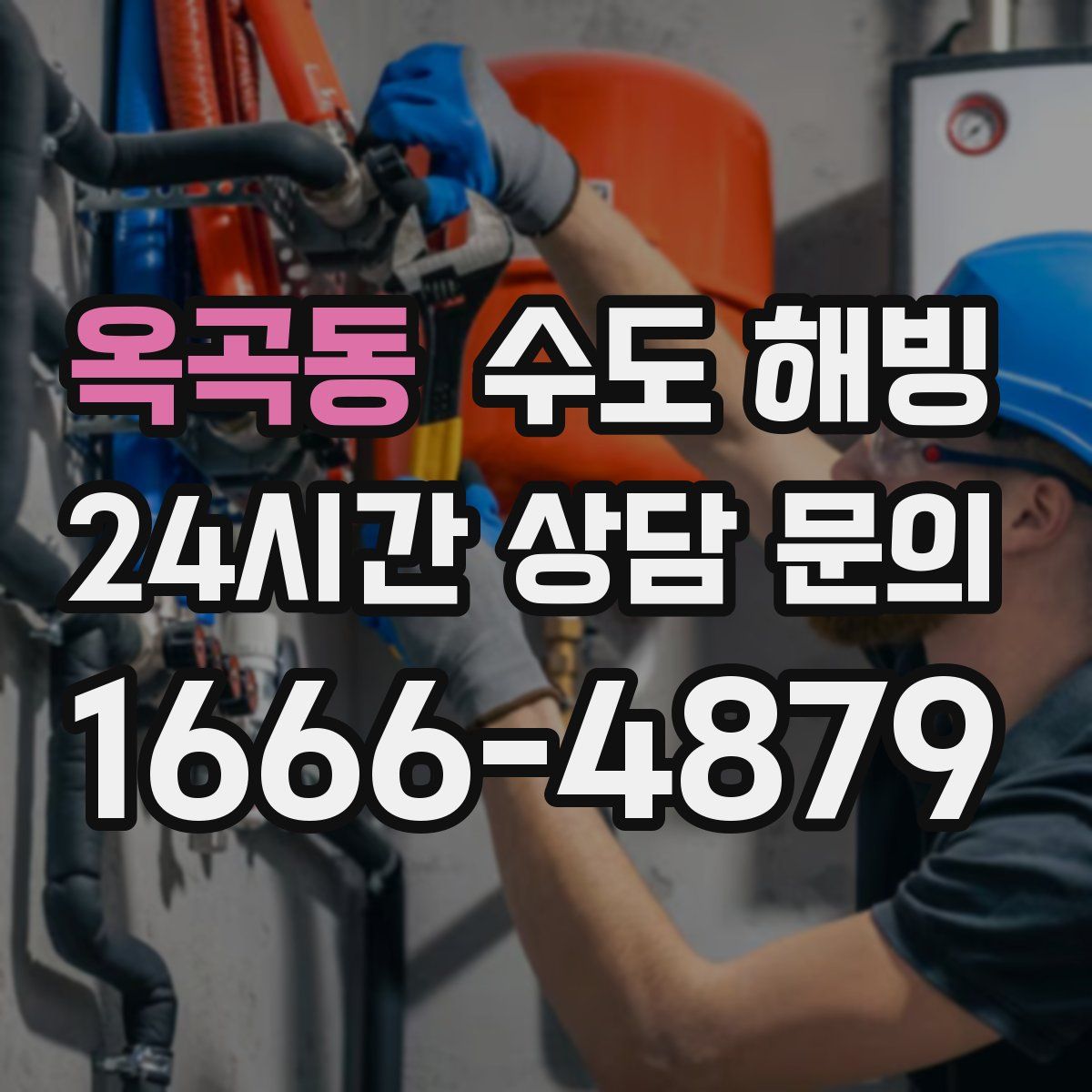 옥곡동 수도 해빙