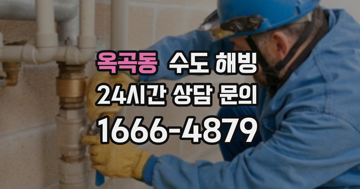 옥곡동 수도 해빙