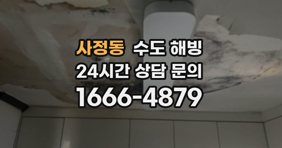 사정동 수도 해빙