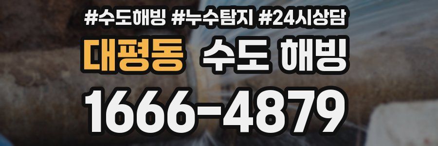 대평동 수도 해빙