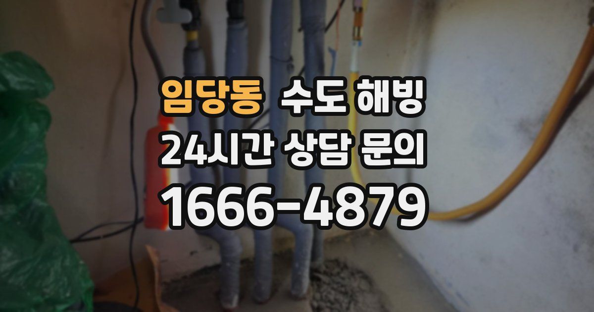 임당동 수도 해빙