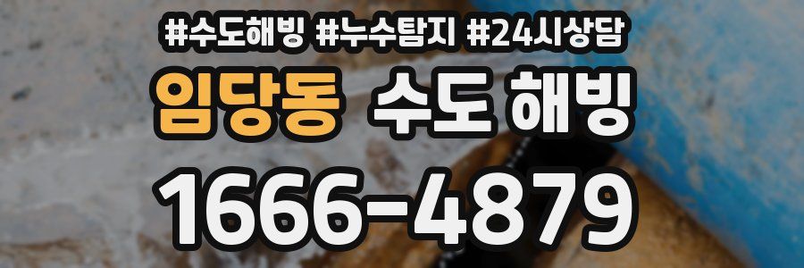 임당동 수도 해빙