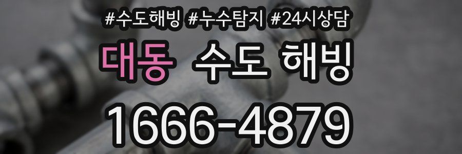 대동 수도 해빙