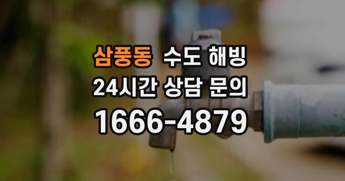 삼풍동 수도 해빙