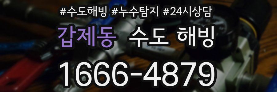 갑제동 수도 해빙