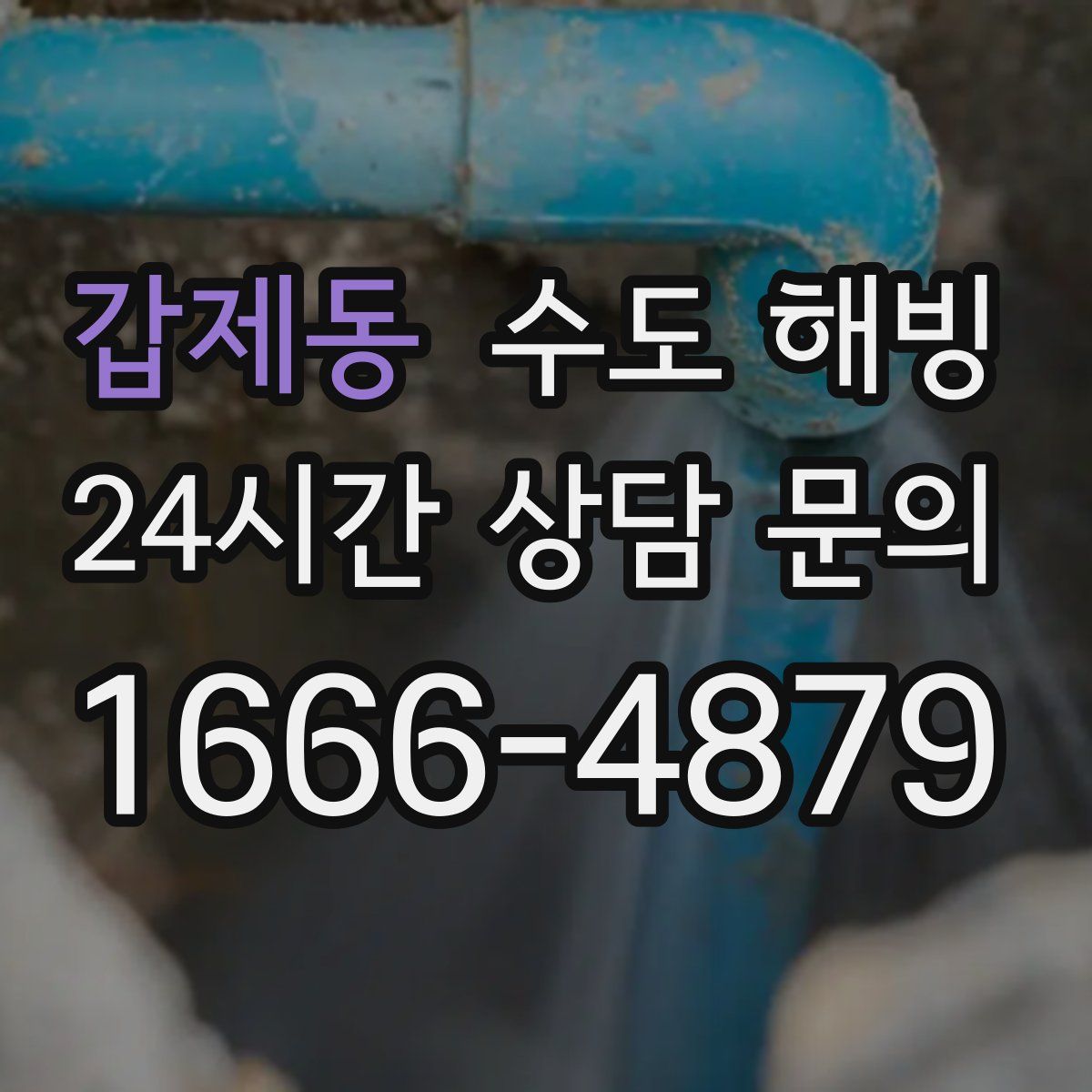 갑제동 수도 해빙