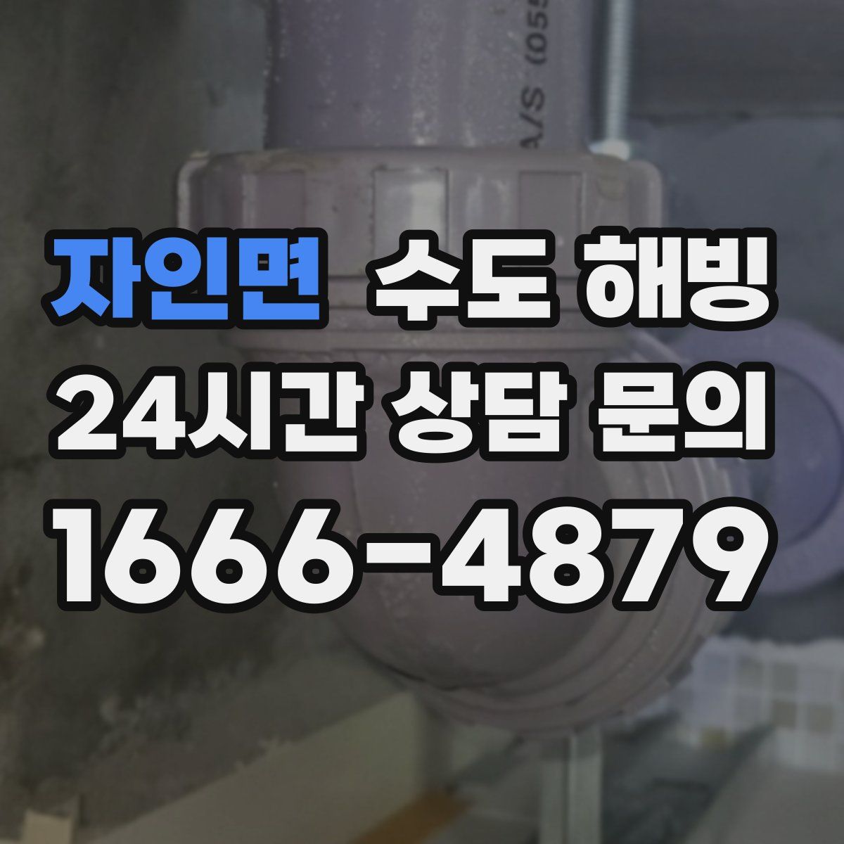 자인면 수도 해빙
