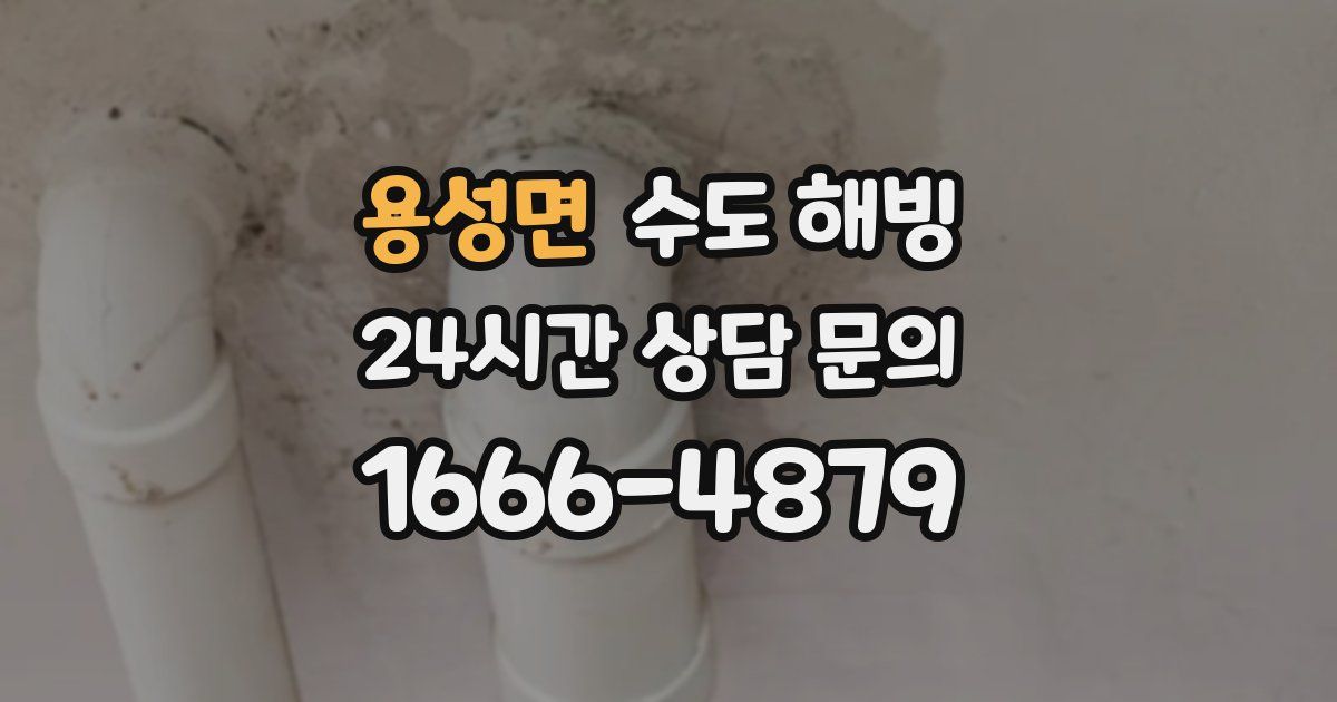 용성면 수도 해빙