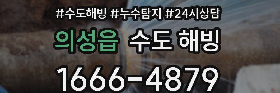 의성읍 수도 해빙