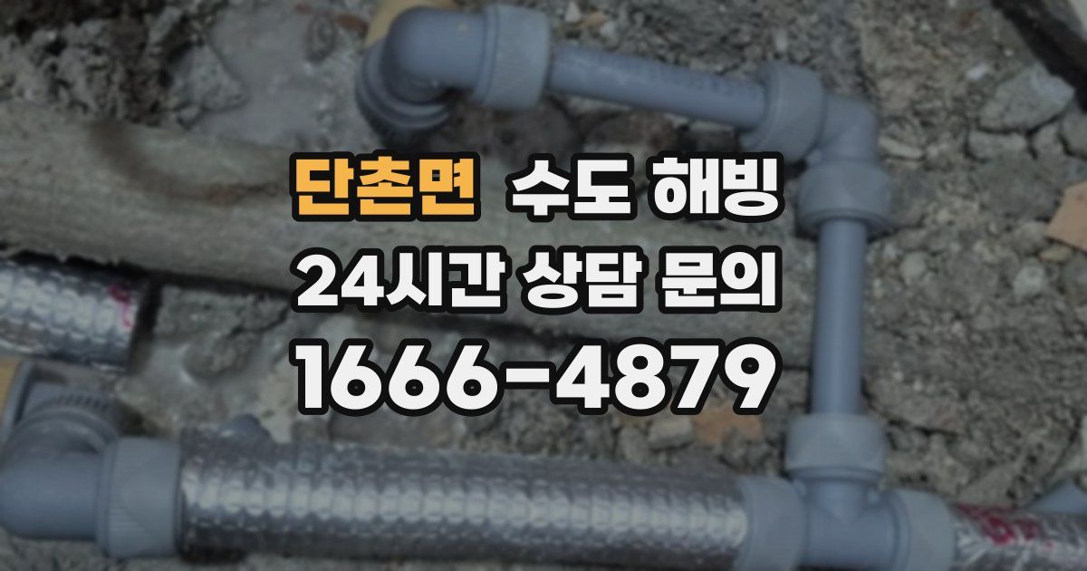 단촌면 수도 해빙