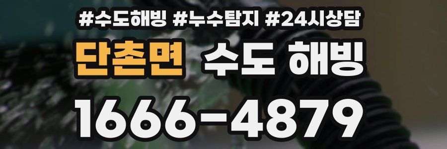 단촌면 수도 해빙