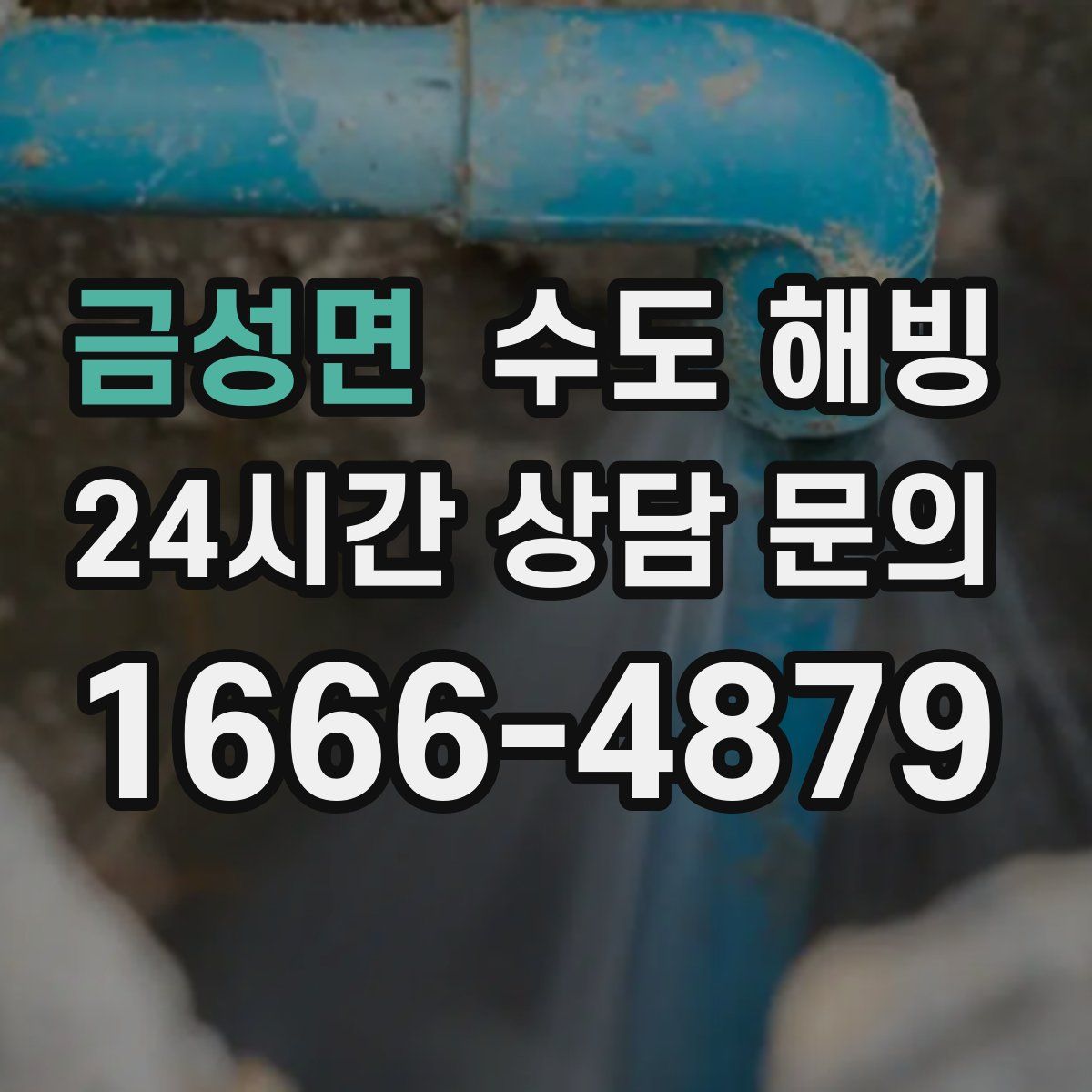 금성면 수도 해빙