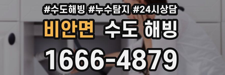 비안면 수도 해빙