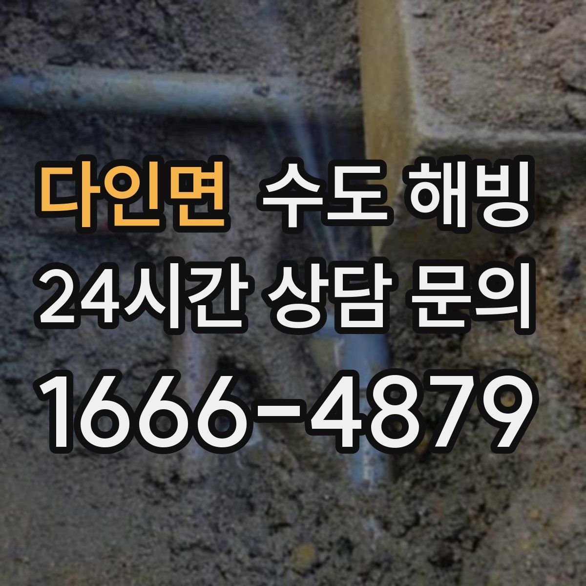 다인면 수도 해빙