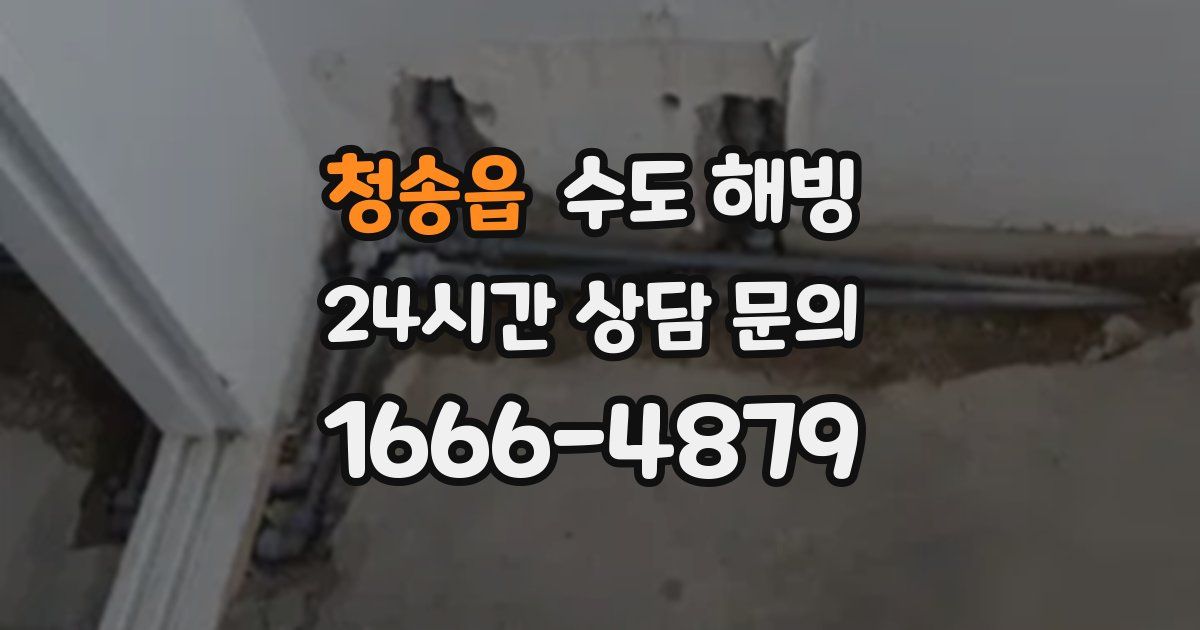 청송읍 수도 해빙