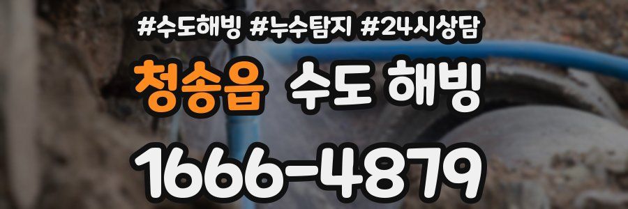 청송읍 수도 해빙