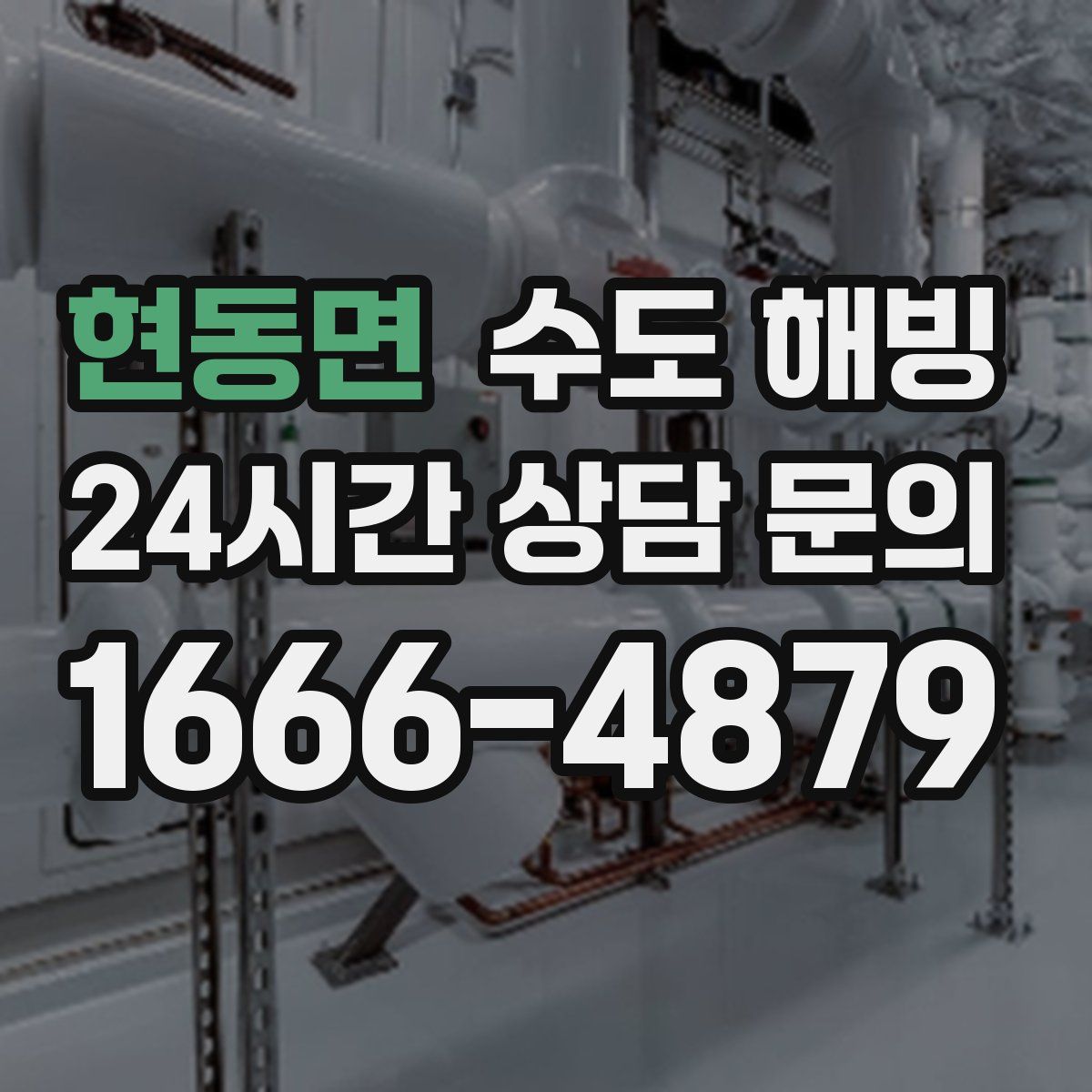 현동면 수도 해빙