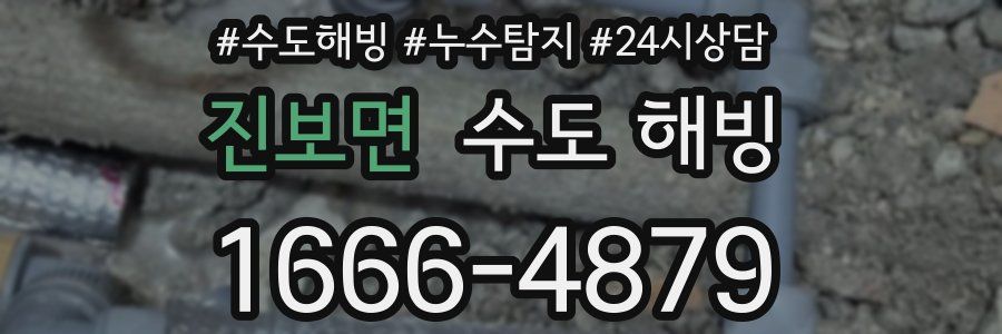 진보면 수도 해빙