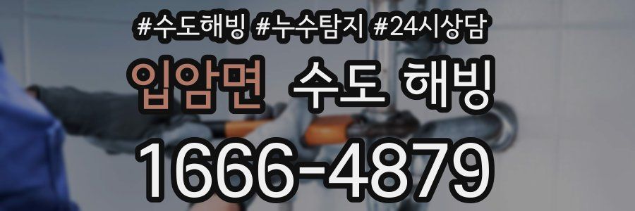입암면 수도 해빙