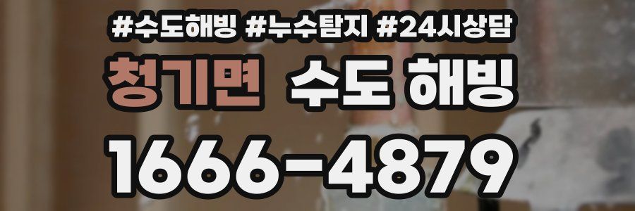 청기면 수도 해빙