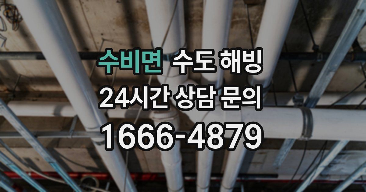 수비면 수도 해빙