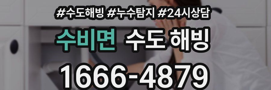 수비면 수도 해빙