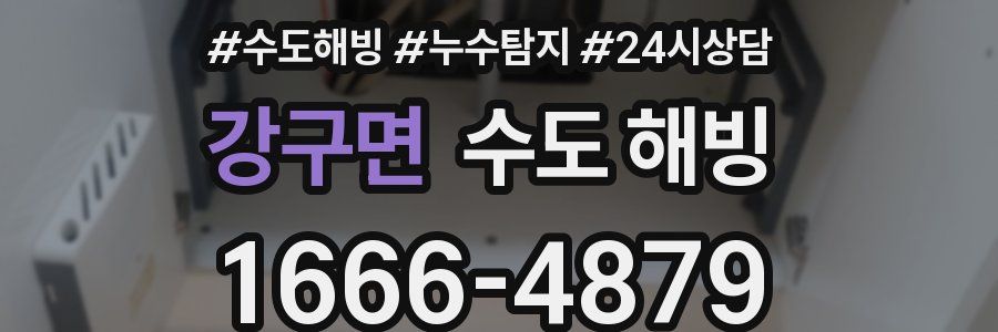 강구면 수도 해빙