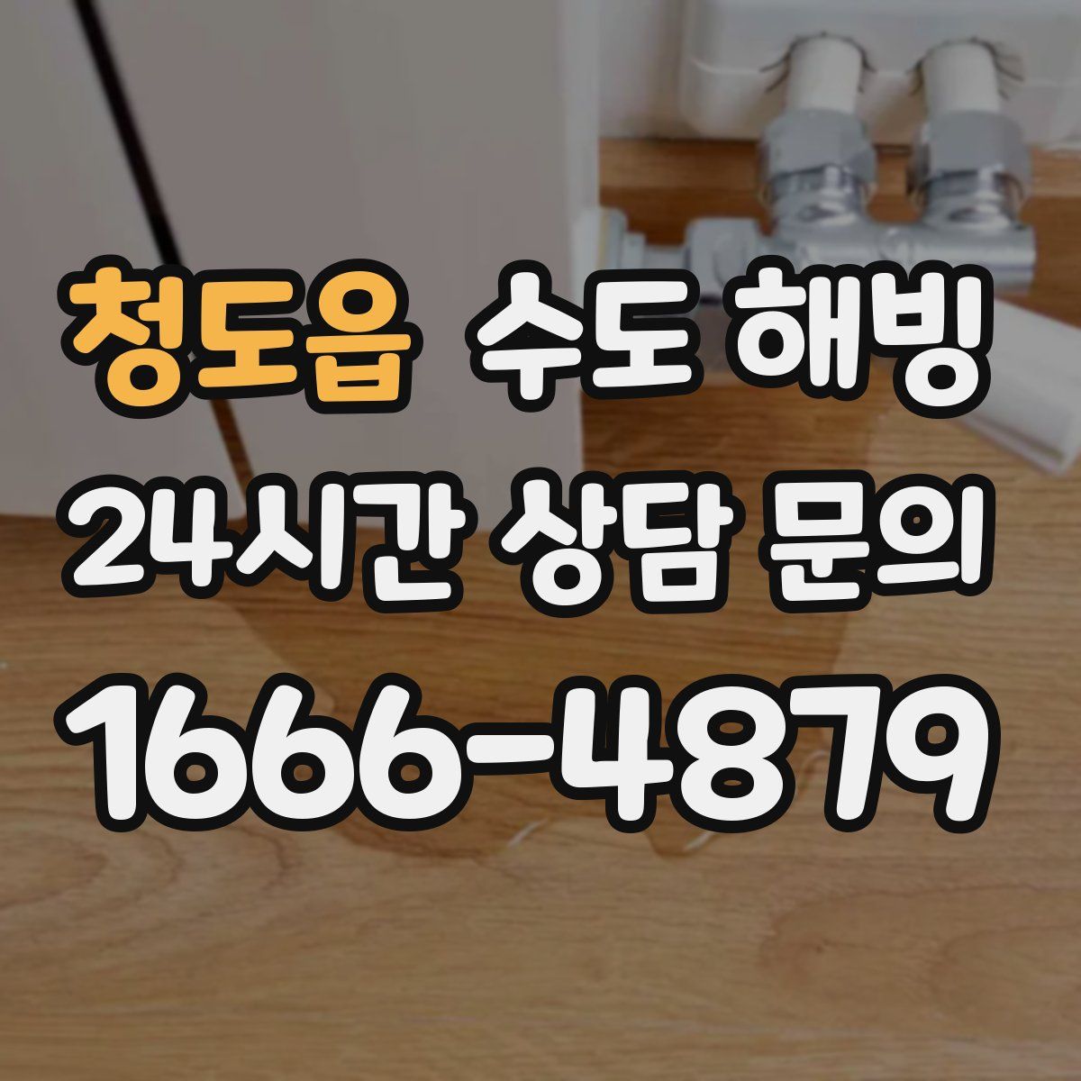 청도읍 수도 해빙