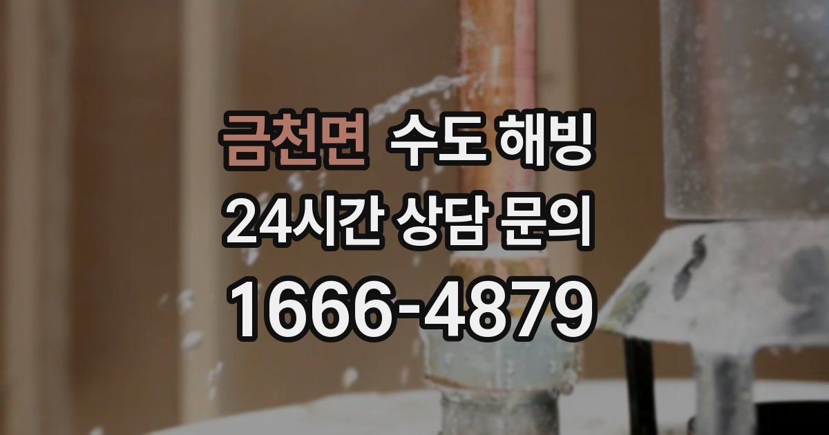 금천면 수도 해빙