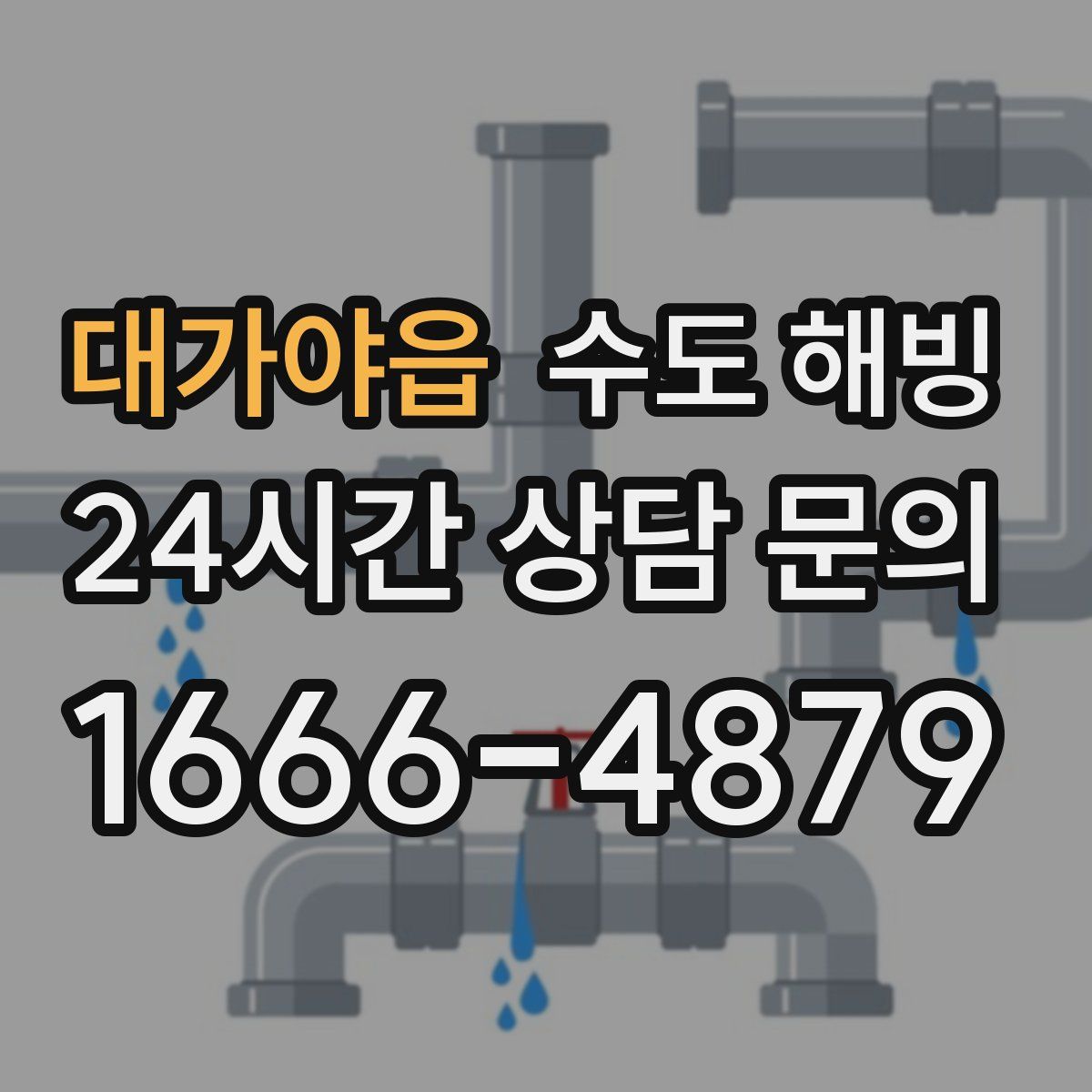 대가야읍 수도 해빙