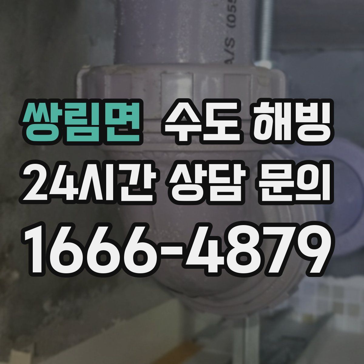 쌍림면 수도 해빙