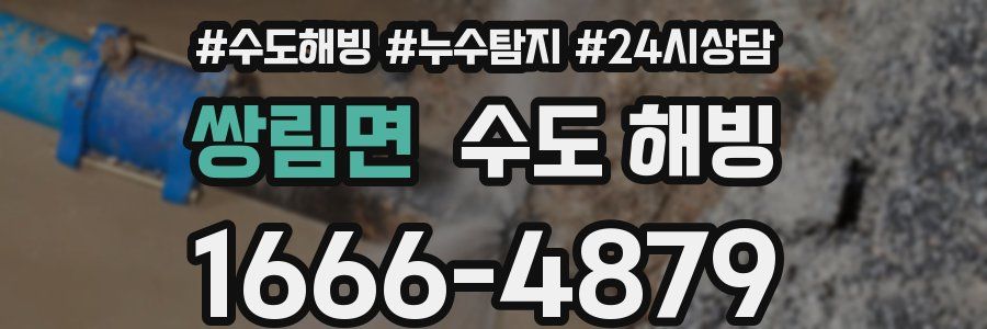 쌍림면 수도 해빙