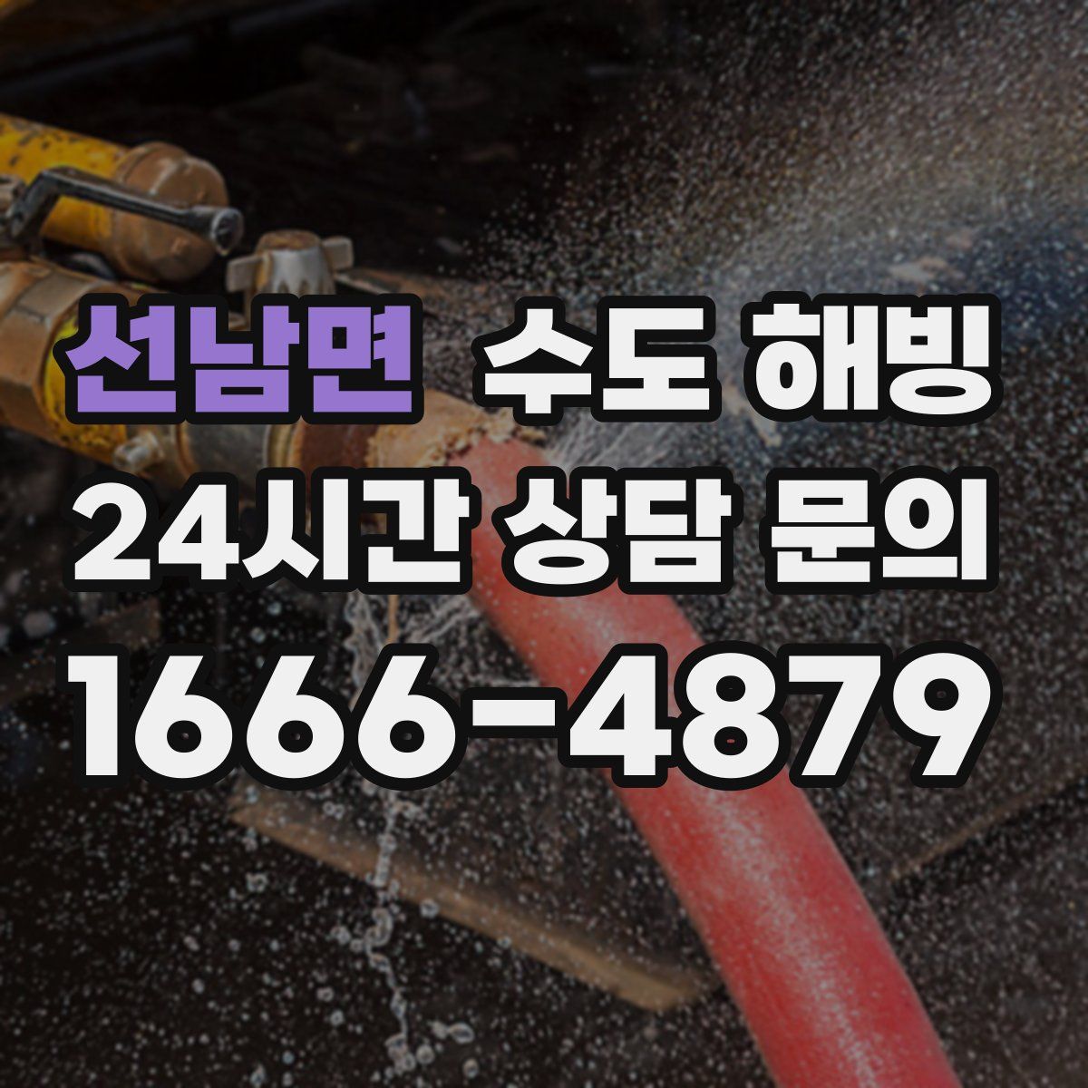 선남면 수도 해빙