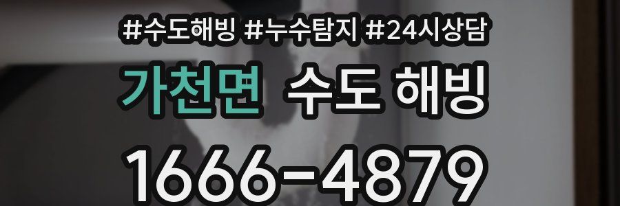 가천면 수도 해빙